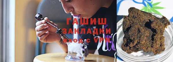 шишки Гусев