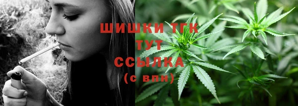 шишки Гусев