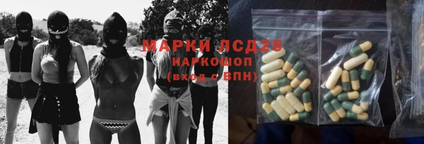 шишки Гусев