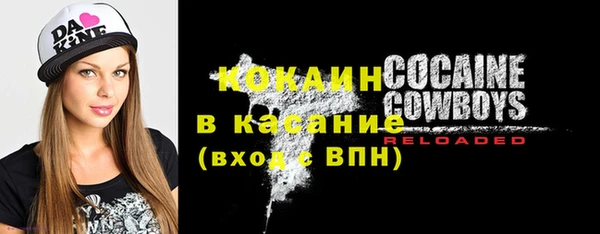 шишки Гусев
