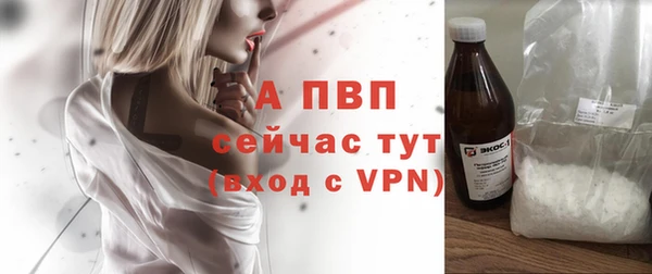 шишки Гусев