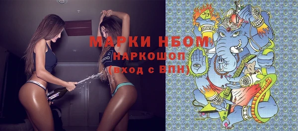шишки Гусев