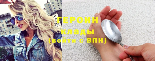 шишки Гусев