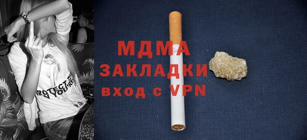 шишки Гусев