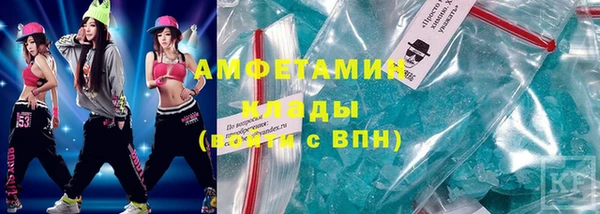 шишки Гусев