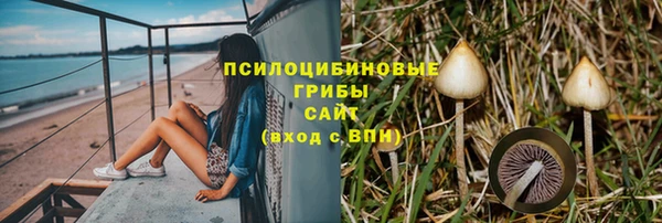 не бодяженный Гусиноозёрск