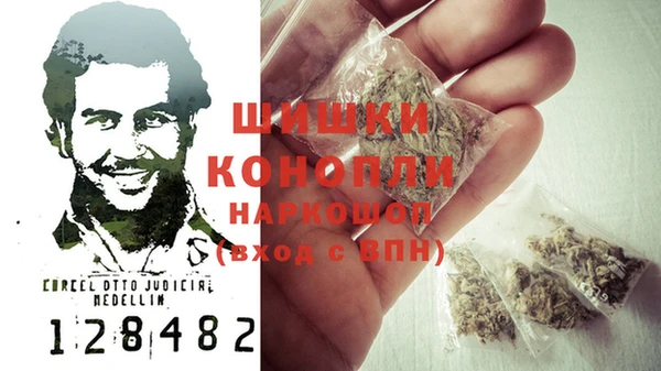 шишки Гусев