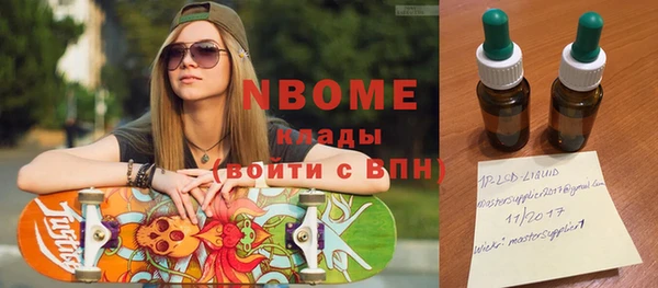 шишки Гусев