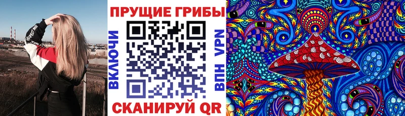 Псилоцибиновые грибы Magic Shrooms  Нурлат 