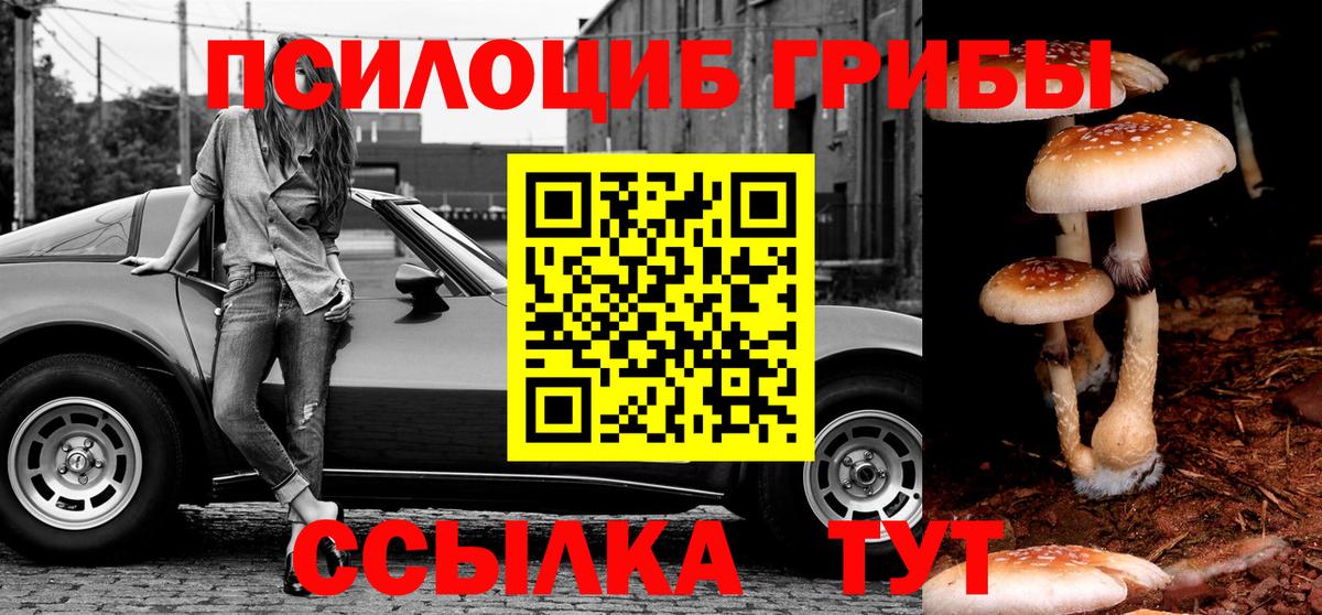 Псилоцибиновые грибы Magic Shrooms  Галлюциногенные грибы MAGIC MUSHROOMS  Вход с VPN  Нурлат 