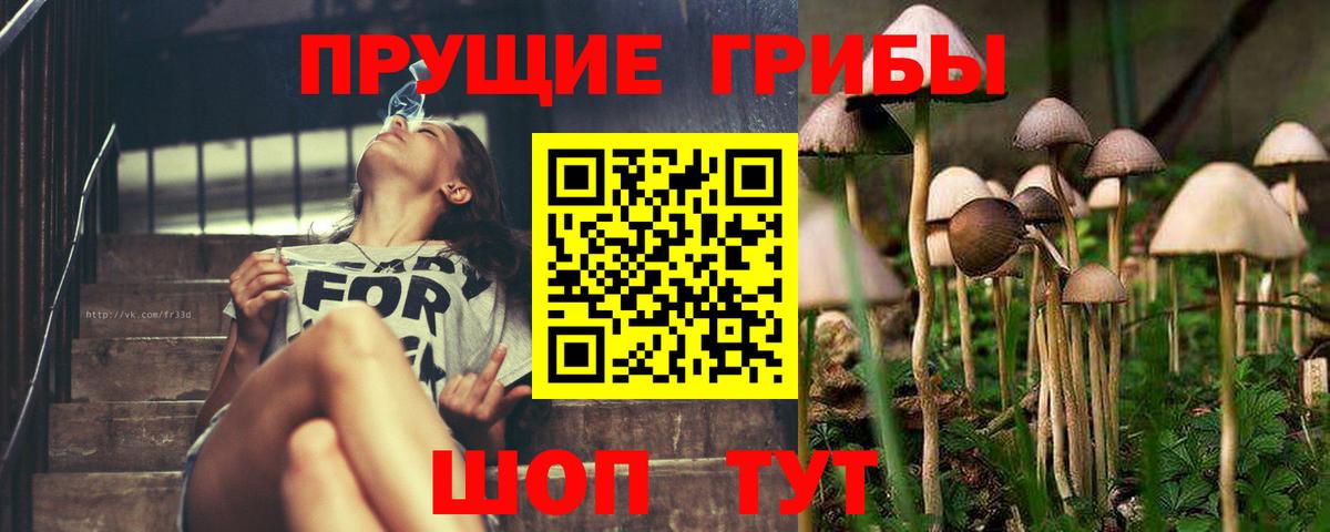 Псилоцибиновые грибы Magic Shrooms  Псилоцибиновые грибы мицелий  Нурлат 