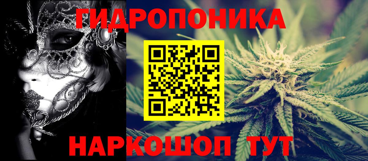 Бошки марихуана сатива Нурлат
